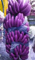 紫色香蕉你吃过吗？